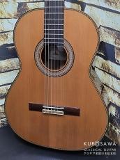 Paco Castillo パコ・カスティージョ Model:205C 杉・ローズウッド 20フレット【日本総本店2F在庫品】_2