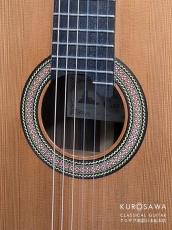 Paco Castillo パコ・カスティージョ Model:205C 杉・ローズウッド 20フレット【日本総本店2F在庫品】_3
