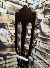 Paco Castillo パコ・カスティージョ Model:205C 杉・ローズウッド 20フレット【日本総本店2F在庫品】_5