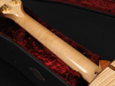 Taylor GCe-Maple LTD SP_11