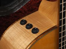 Taylor GCe-Maple LTD SP_12
