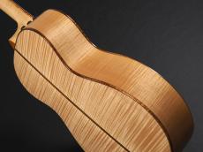 Taylor GCe-Maple LTD SP_14