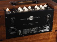 Taylor Circa 74 AV150-10 Acoustic Amp and Vocal System / Mahogany with stand【出力150w】_8