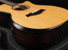 Taylor Builder's Edition K14ce ~Natural~_8
