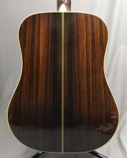 Tokai Snappy SW1000_2
