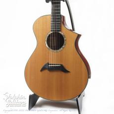 Breedlove C22 M