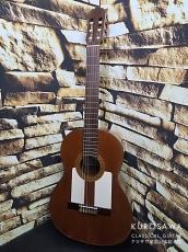PARA CASA A. Fernandez パラ・カサ・A・フェルナンデス  杉・ウォルナット 【日本総本店2F 在庫品】