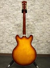 Seventy Seven Guitars EXRUBATO-STD/S-JT ITB_12