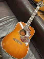 Gibson Hummingbird 【2006年製】