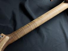 Tobon Tobon Guitars Custom Order Model TG051 5A Quilt Maple Top Blue Fade【ボディバックも必見!】_10