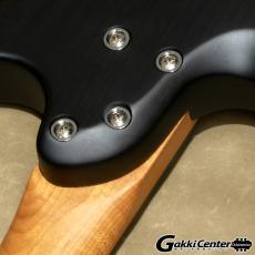 Balaguer Guitars he Toro AW (Andy Williams Signature Model), See-Through Black_9