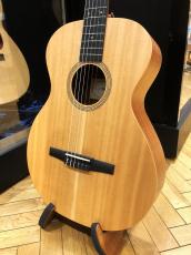 Taylor Academy 12e-N