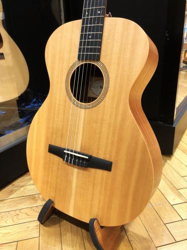 Taylor Academy 12e-N