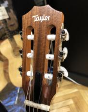 Taylor Academy 12e-N_3