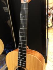 Taylor Academy 12e-N_4