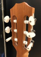 Taylor Academy 12e-N_7
