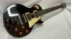 Epiphone LP-100_2