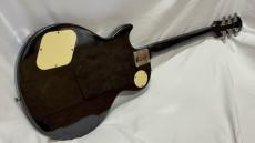 Epiphone LP-100_5