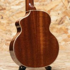 L.Luthier Le Light Maho Concert_2
