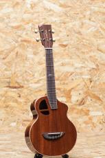 L.Luthier Le Light Maho Concert_3