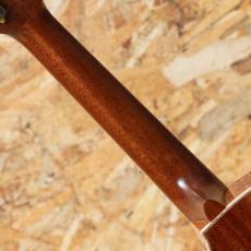 L.Luthier Le Light Maho Concert_7