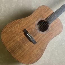 Martin D-X1E-01