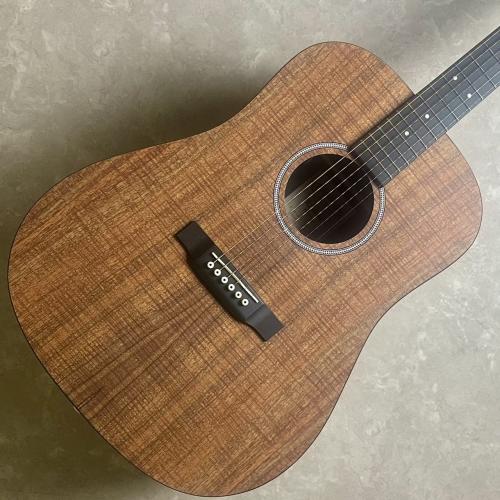 Martin D-X1E-01