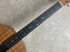 Martin D-X1E-01_4