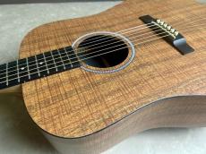 Martin D-X1E-01_5