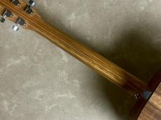 Martin D-X1E-01_9