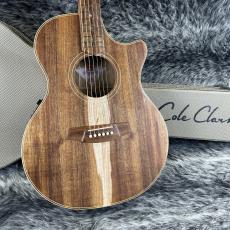 Cole Clark CCTL2EC-BLBL