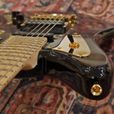 SCHECTER BanG Dream! Collaboration Series BC-AveMujica/Doloris_5