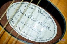 Buscarino Starlight Steel Strings / 1993_10