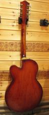 Gretsch 6119 Chet Atkins Tennessean 【1966年製】_3