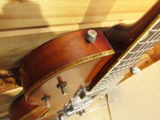 Gretsch 6119 Chet Atkins Tennessean 【1966年製】_9