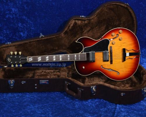 Archtop Tribute AT105D