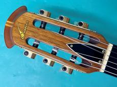 Ovation  1763-4_5