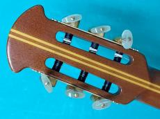 Ovation  1763-4_6
