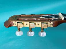 Ovation  1763-4_7