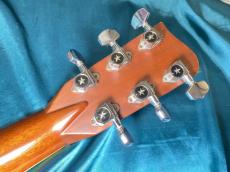 BlueBell  W-500_14
