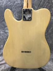 Fender Telecaster '81_7