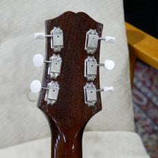 KING SNAKE Muddy Non Cutaway / Tobacco Sunburst_10