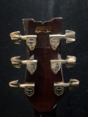 Ibanez AR300_6