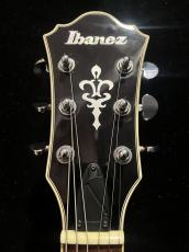 Ibanez AS73_3