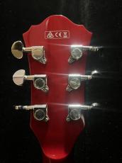 Ibanez AS73_6