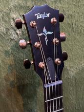 Taylor 【New Model!!】K24ce Special Edition Next Generation #1203166084【Claria™搭載】_4