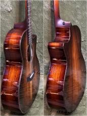 Taylor 【New Model!!】K24ce Special Edition Next Generation #1203166084【Claria™搭載】_9