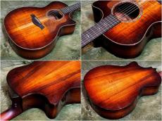 Taylor 【New Model!!】K24ce Special Edition Next Generation #1203166084【Claria™搭載】_10