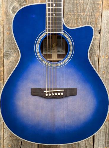 Morris R-14G SBU 【L.R.Baggs Element搭載】
