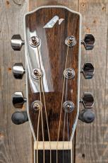 Morris R-14G SBU 【L.R.Baggs Element搭載】_5